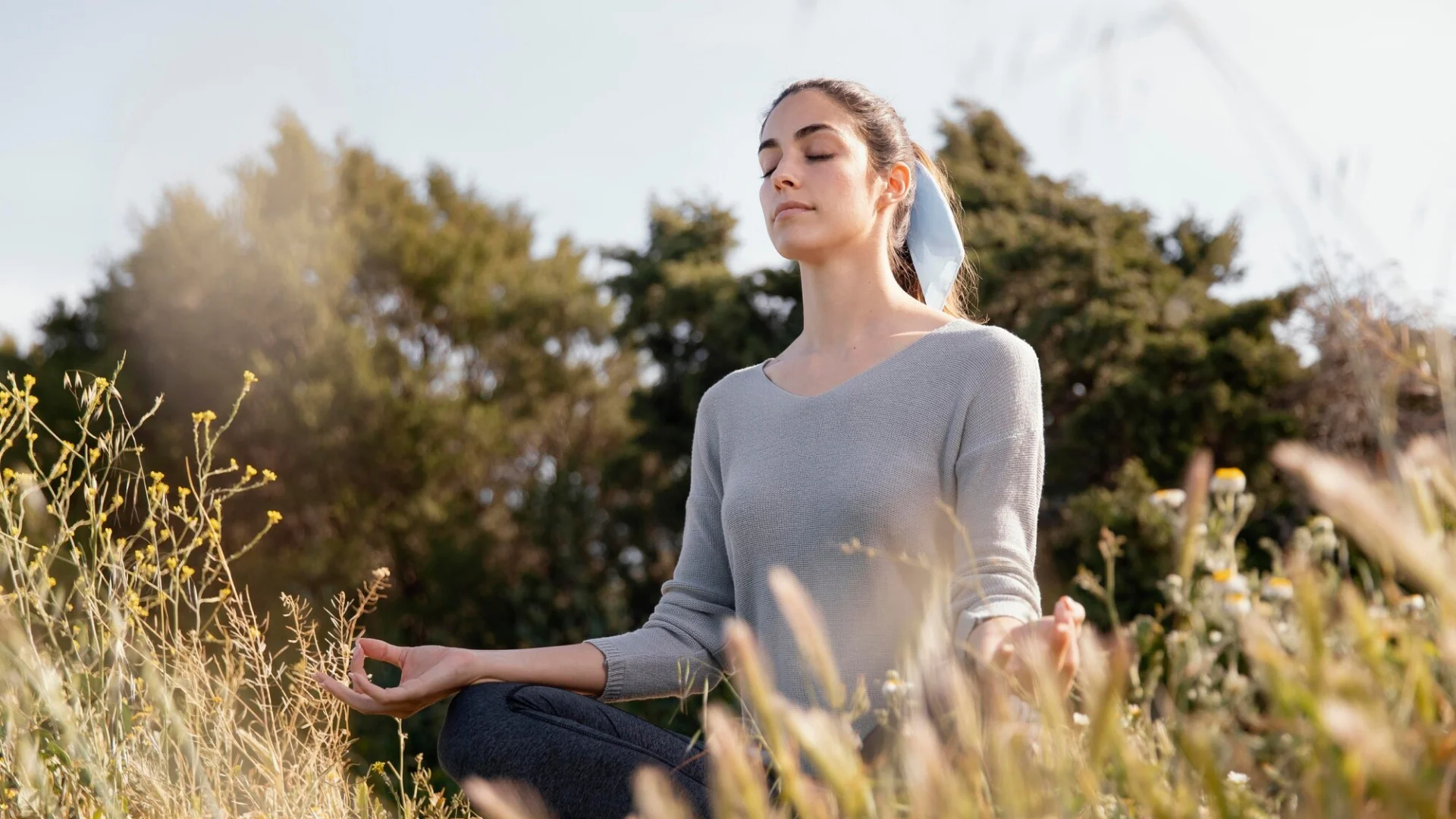 Read more about the article Cultivating Calm in a Chaotic World